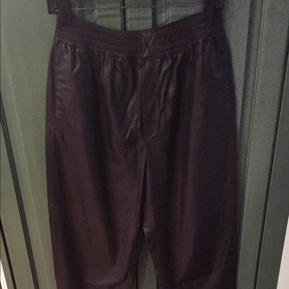 Zara Pants - Zara faux leather elastic waist pull on pant.